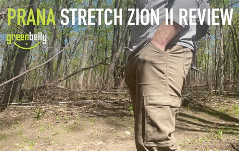 prana zion ii review.